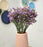SATYAM KRAFT 3 Pcs Babys Breath Flowers Artificial Gypsophila Bouquets Flowers Gifting, Home, Bedroom, Garden, Balcony, Office Corner, Living Room decoration and Craft (Pack Of 3) (Without Vase)