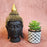 SATYAM KRAFT 1 PC Mini Artificial Green Succulent with Aesthetic Ceramic Pot, Indoor to Add Charm to Your Home Decor