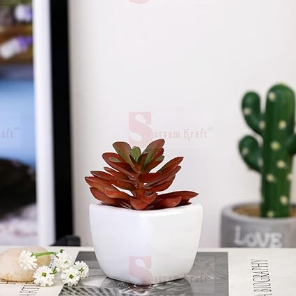 1 Pc Succulent Small Mini indoor Plants with aesthetic cement pot, Artificial Plant, indoor flower Plant with Pot