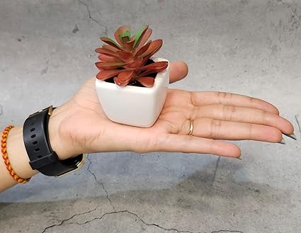 SATYAM KRAFT 1 Pc Succulent Small Mini indoor Plants with aesthetic cement pot, Artificial Plant, indoor flower Plant with Pot