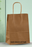 Premium Paper Gift Bag with Handle | Return Gift, Shopping & Packaging Bag | Available in Red, White, Black, Green & Brown