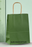 Premium Paper Gift Bag with Handle | Return Gift, Shopping & Packaging Bag | Available in Red, White, Black, Green & Brown