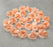 24 Pcs Carnation flower for Gifting, Home, Mandir Pooja Table, Cake Decor, Bouquet Making, Backdrop, DIY Art Craft