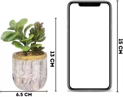 1 PCS Mini Echeveria elegans Artificial  Green Succulent Plant with Ceramic Pot (Pack of 1)