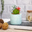 SATYAM KRAFT 1 PC Mini Artificial Green Indoor Succulent Plant with Aesthetic Ceramic Pot Faux Flower Plant to Add Charm to Your Home