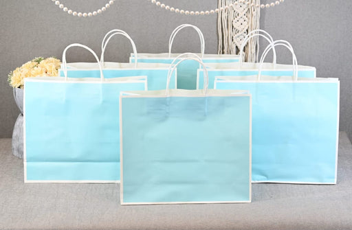 12 pcs Large Size Aqua blue(10.5X12.5X4 inch) Paper Bags With Handle Gift Paper bag, Carry Bags, gift For Valentine Gifting, marriage Return Gifts, Birthday, Wedding, Party, Season's Greetings