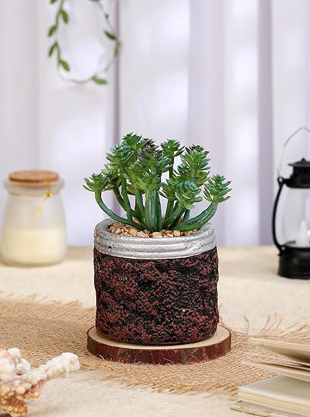 indoor succulent plants with artificial mini Mini Artificial Green Succulent Plant with Aesthetic Ceramic Pot, Indo — Satyam Kraft