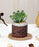 1 PC Mini Artificial Green Succulent Plant with Aesthetic Ceramic Pot, Indoor Faux Flower Plant to Add Charm to Your Home, (Pack of 1)