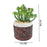 1 PC Mini Artificial Green Succulent Plant with Aesthetic Ceramic Pot, Indoor Faux Flower Plant to Add Charm to Your Home, (Pack of 1)