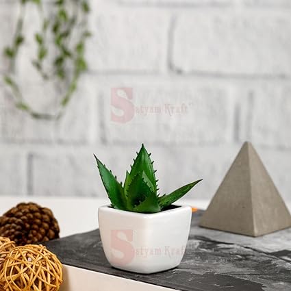 1 Pc Succulent Small Mini indoor Plants with aesthetic cement pot,Agave Plant, Faux flower indoor Plant with Pot Add Charm to Your Home decor