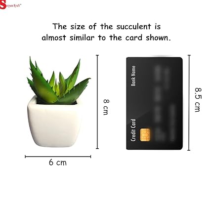 1 Pc Succulent Small Mini indoor Plants with aesthetic cement pot,Agave Plant, Faux flower indoor Plant with Pot Add Charm to Your Home decor