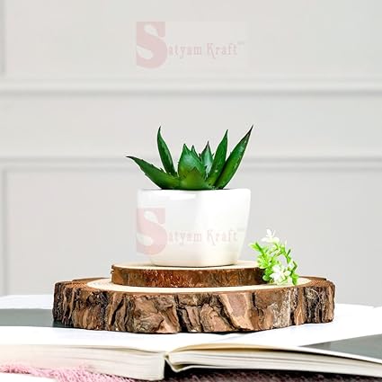 SATYAM KRAFT 1 Pc Succulent Small Mini indoor Plants with aesthetic cement pot,Agave Plant, Faux flower indoor Plant with Pot Add Charm to Your Home decor