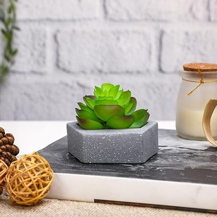 SATYAM KRAFT 1 Pc Mini Aesthetic Succulent Plant with Ceramic Cement Pot for Indoor, to Add Charm to Your Homedecor
