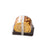 Clear Swiss Roll Box with Black Base for Cake Roll, Pastry, Chocolate, Dessert, Bakery Packing, Party & Café Packaging