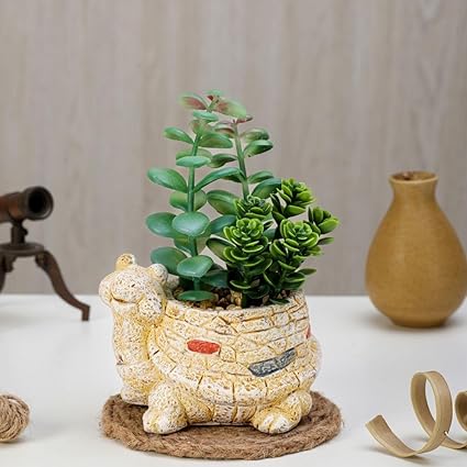 1 PCS Artificial Ceramic Tortoise Design Flower Plants succulent -Add Charm to Your Home,Office Decor, Elegant Shelf