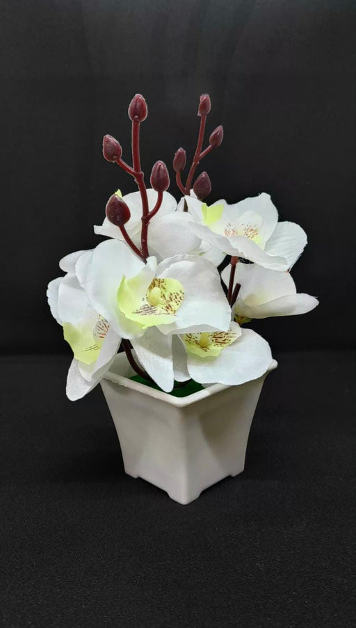 2 Pcs Artificial Orchid Fake Flower with Plastic Pot Plant Decorative Items for Home, Balcony, Room, Living Room, Diwali Decoration Plants