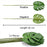 Artificial Small Palm Leaves for Home Decoration (Green, 12 Leaves)