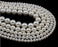 1200 Pcs Artificial White Moti (6 mm) Pearls Beads for artificial jewellery making, Earring , Necklace , Bracelet Set for Girls and Women, beading, crafting, scrap booking and hand embroidery materials DIY Jewellery (1200 Pieces)