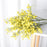 SATYAM KRAFT 5 Pcs Babys Breath Flowers Artificial Gypsophila Bouquets Flowers Gifting, Home, Bedroom, Garden, Balcony, Office Corner, Living Room decoration and Craft (Pack Of 5) (Without Vase)