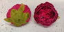 SATYAM KRAFT 12 Pcs Artificial Fabric Rose Flower Heads, Decoration Items and DIY Craft.